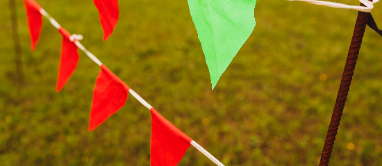 Identifying Red and Green Flags in SEO Projects
